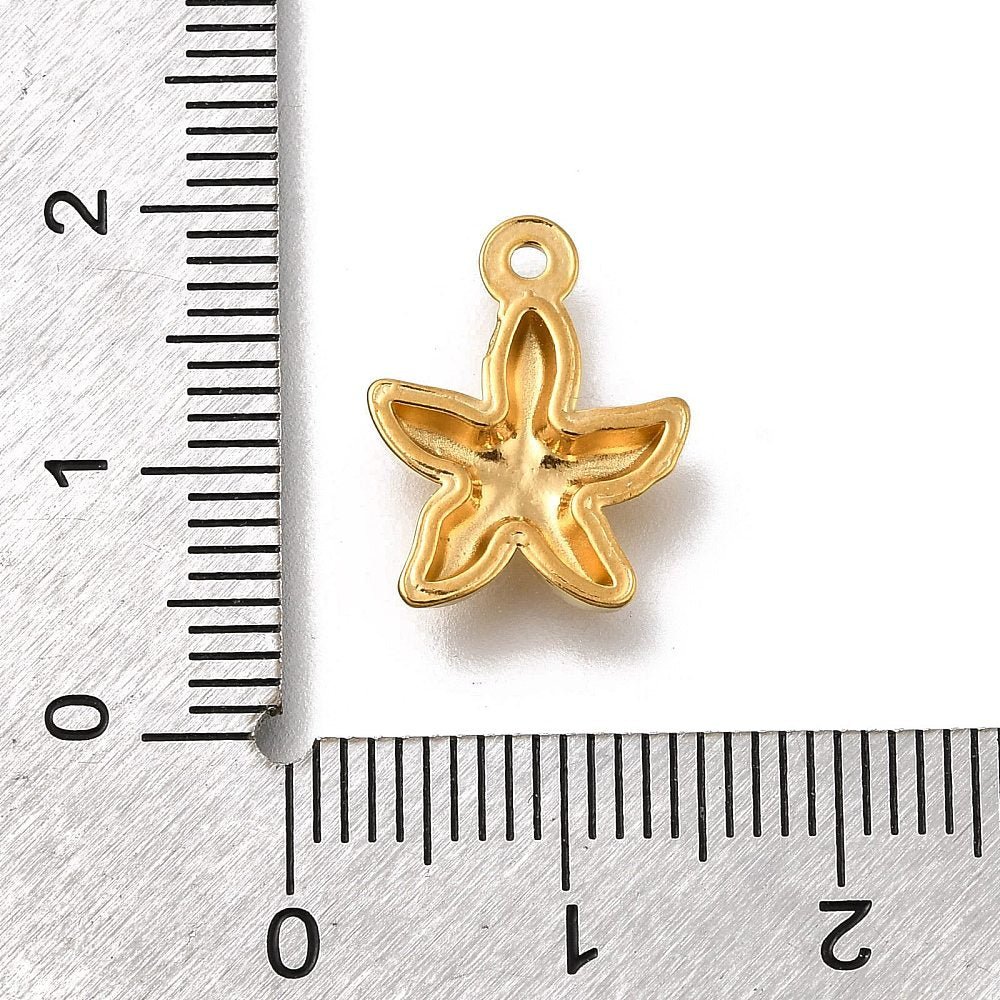 Estrellita charm